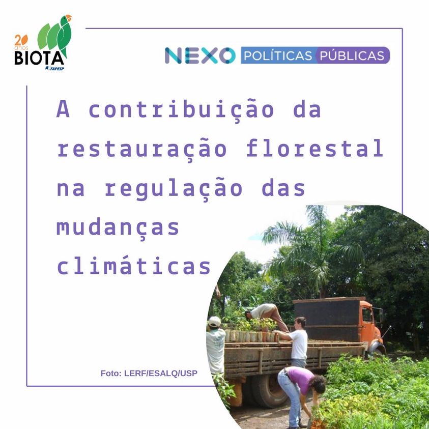 A contribuição da restauração florestal